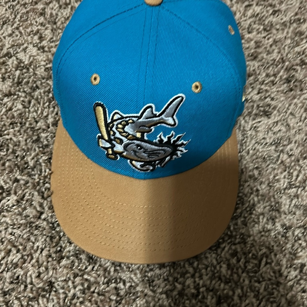 Grand Rapids Dam breakers hat